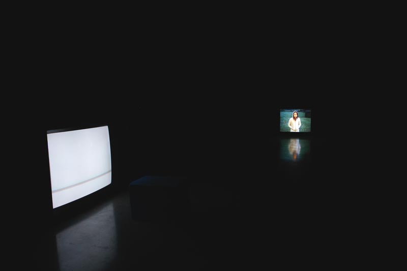 Vue d'exposition « À la nuit tombée », deux écrans
