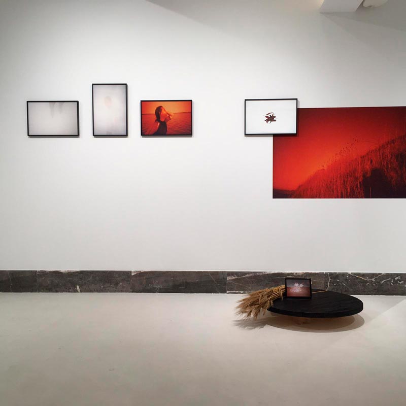 Ils ont cru à la nuit totale - Vue d'exposition