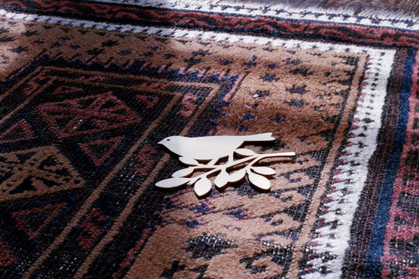 Extrait de la série « J'ai appris dans les Alpes » : Oiseau