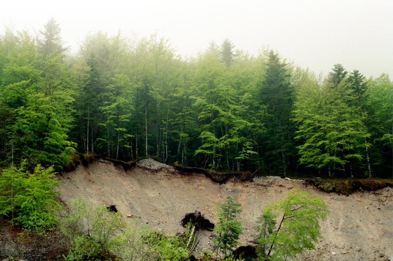 Extrait de la série « Laver les pierres »
