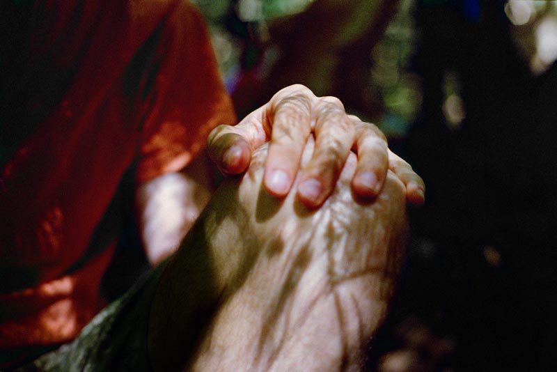 Extrait de la série « Prends-moi la main » : Forêt, Mains
